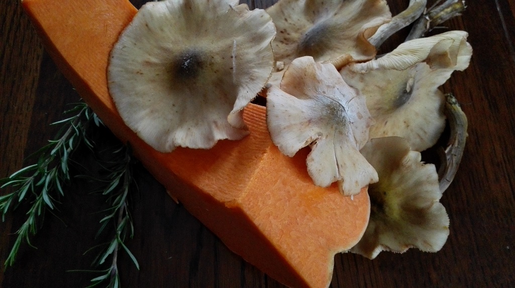 Ingredienti, zucca e funghi chiodini
