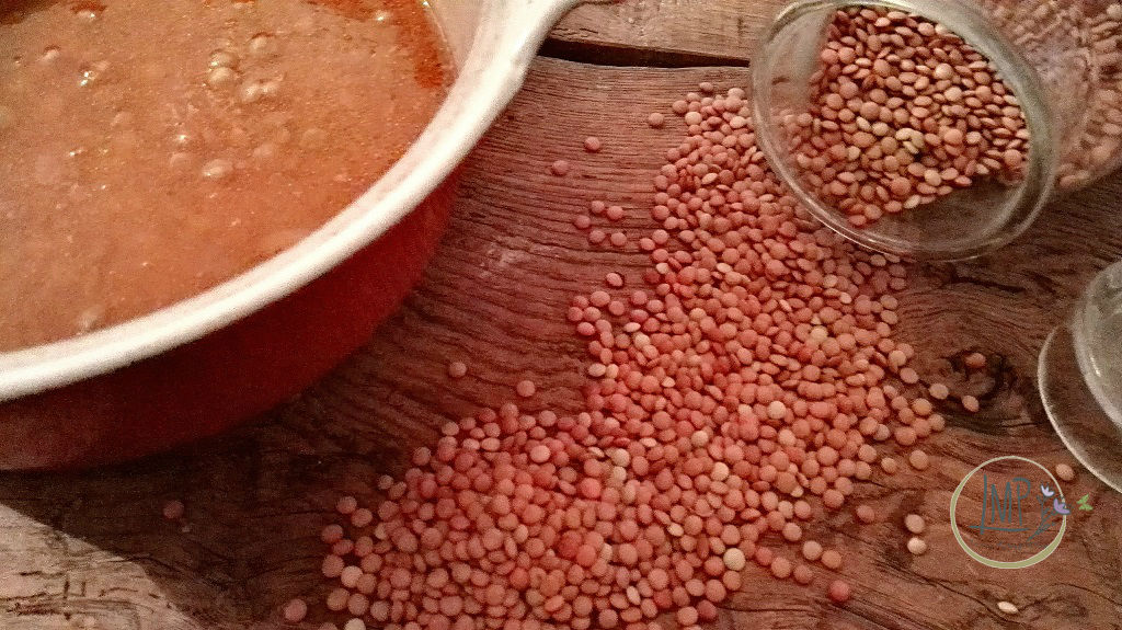 Minestra di lenticchie con lasagnette minestra pronta senza pasta