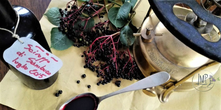 Sciroppo di Sambuco con bacche
