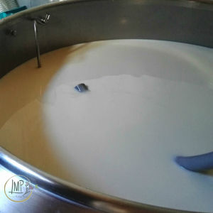 U Cabanin refrigerazione latte in vasca