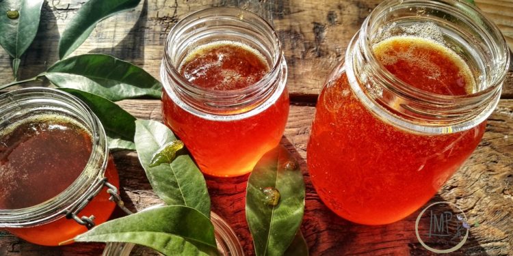 Marmellata di arance amare barattoli e foglie